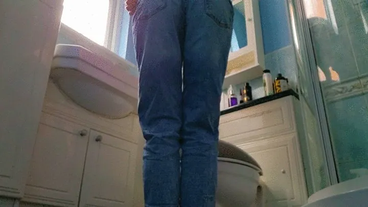 Guest Toilet In Jeans