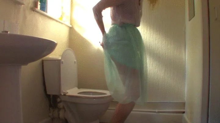 Tulle Layered Skirt On Toilet