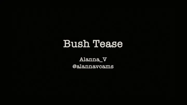 Bush Tease Small