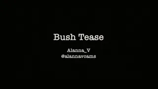 Bush Tease Small