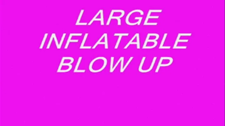 Large Inflatable Blow Up