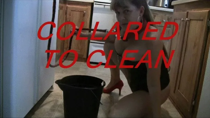 COLLARD 2 CLEAN