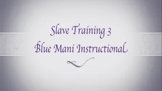 Slave Training 3 - Blue Mani Instructional