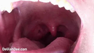 6 Minutes Of My Uvula & Throat