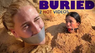 Beach Buried Beauties (DOUBLE VOLUME)