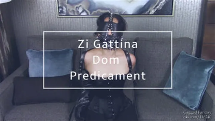 Dominatrix Zi Gattina's Predicament