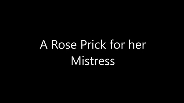 A Rose Prick for her Mistress