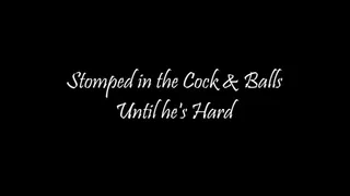 Stomped in the Cock & Balls Until he's Hard (new edit)