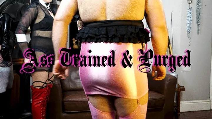 Trained & Purged