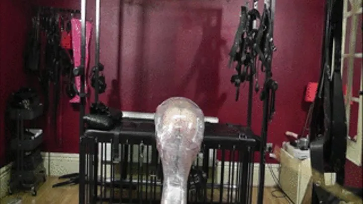 Dirty Cock Punishment