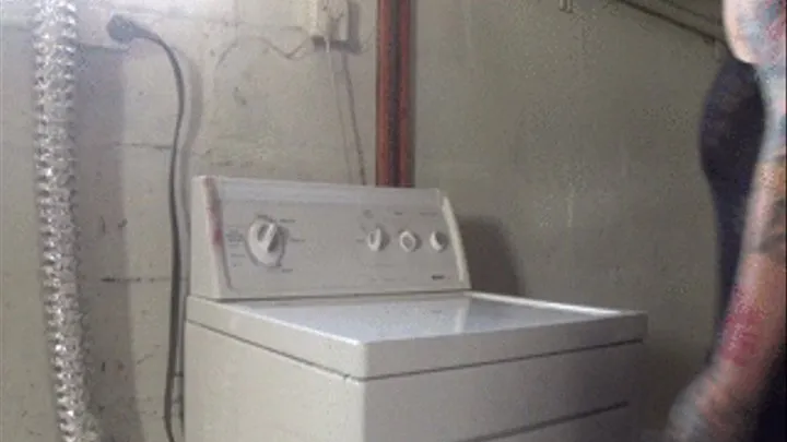 Humpfucking my Dryer