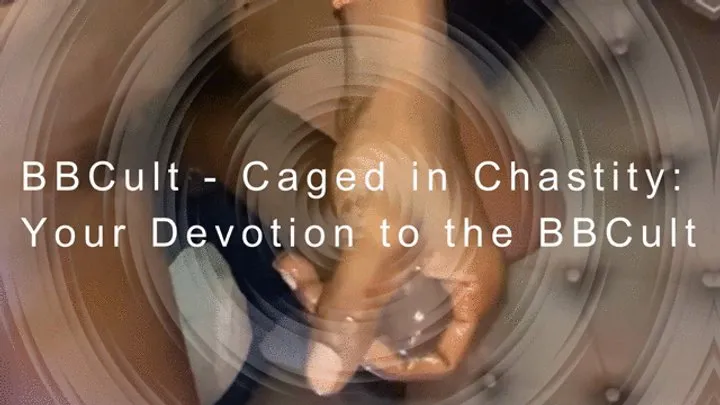 BBCult - Caged in Chastity: Your Devotion to the BBCult