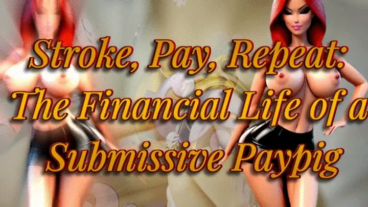 Stroke, Pay, Repeat The Financial Life of a Submissive Paypig