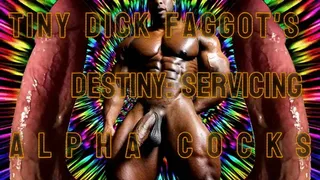 Tiny Dick Faggot's Destiny: Servicing Alpha Cocks