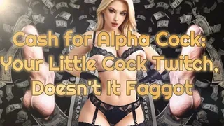 Cash for Alpha Cock Your Little Cock Twitch, Doesn't It Faggot