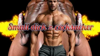 Small dick = cocksucker Tiny Dick Loser's Guide to Serving Real Men