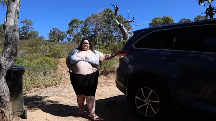 SSBBW car struggles (both sides of car)