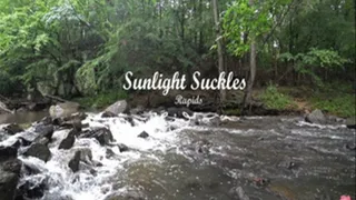 Sunlight Suckles: Rapids