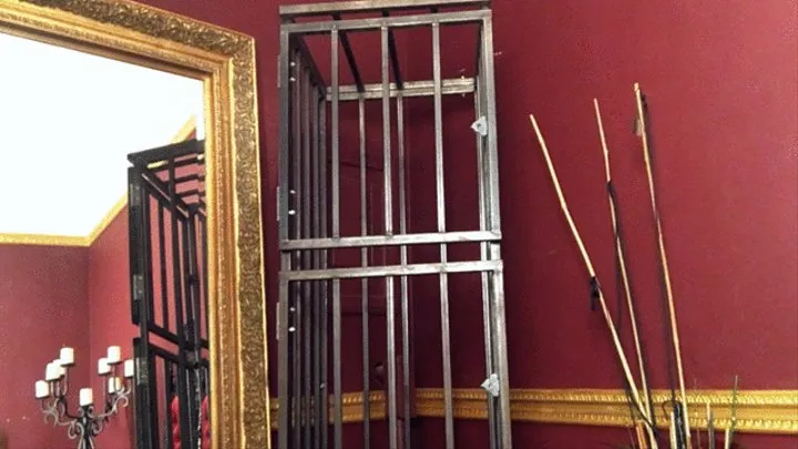 Domina Mara's Cane + Cage Tease