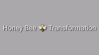 Honey Bee Transformation Trance