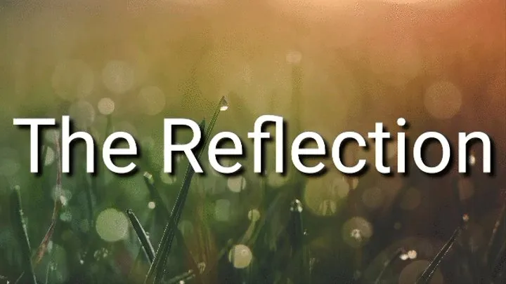 The Reflection Audio