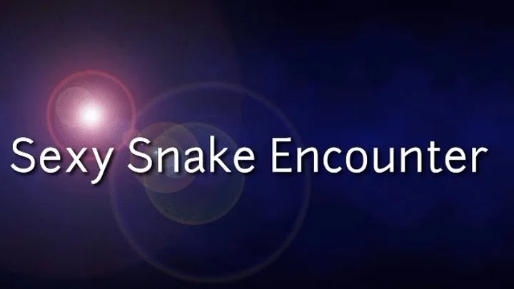 Sexy Snake Encounter