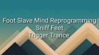 Foot Slave Mind Reprogramming : SNIFF Feet Trigger Trance