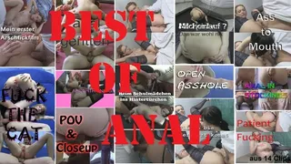 best of anal - compilation