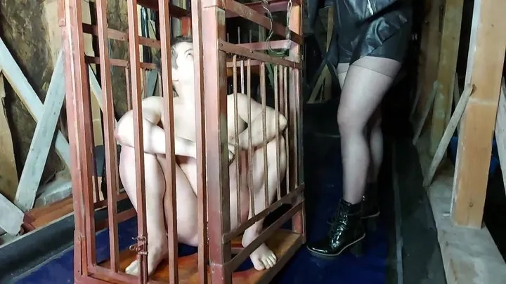 Mistress BlackCat and Faith spitting and humiliation my slave in cage