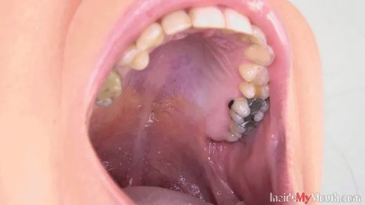 Inside My Mouth - Lexi Dona's mouth fetish video