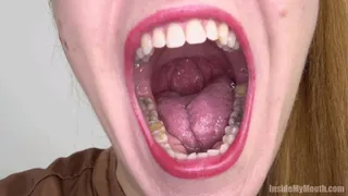 Inside My Mouth - Delia