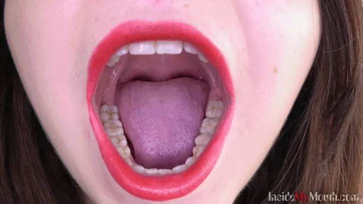 Inside My Mouth - Monica Julia - mouth tour