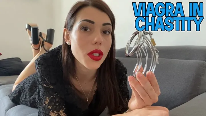 Viagra in chastity