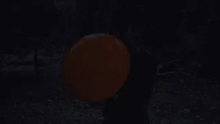 Balloon in the Woods