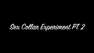 Sex Collar Experiment PT 2 CUSTOM CLIP