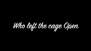 Who Left the Cage Open