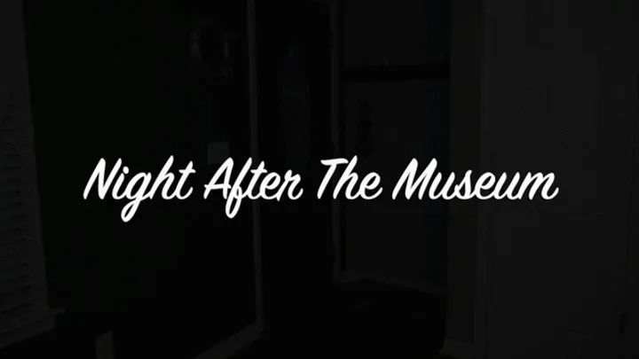 Night After the Museum