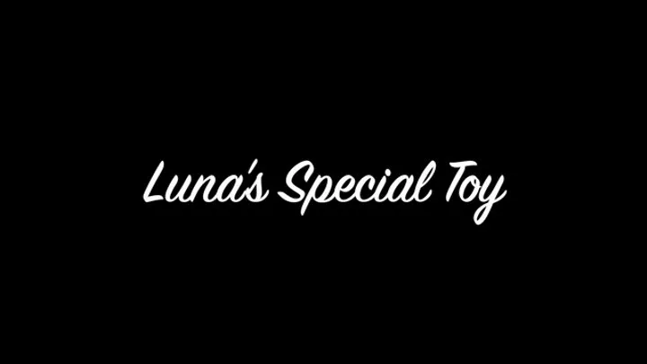 Luna's Special Toy