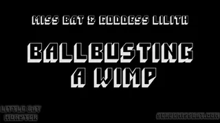 Ballbusting a wimp with Miss Bat and Goddess Lilith