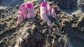 "Toes in the Sand at the Beach" Video