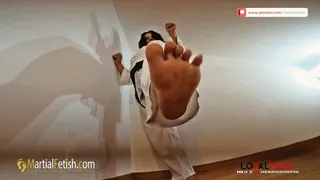 Victoria karate face kicks punishment volume 2