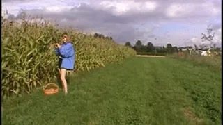 Tight wet pussy fucked with a big corn