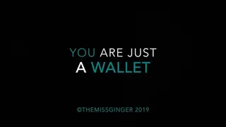 You Are Just A Wallet * *