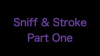 Sniff & Stroke Training Part One