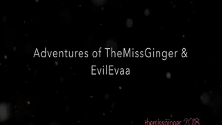 ADVENTURES WITH EVILGINGAA