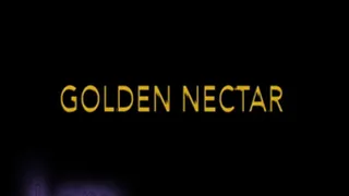 Golden Nectar Bitch