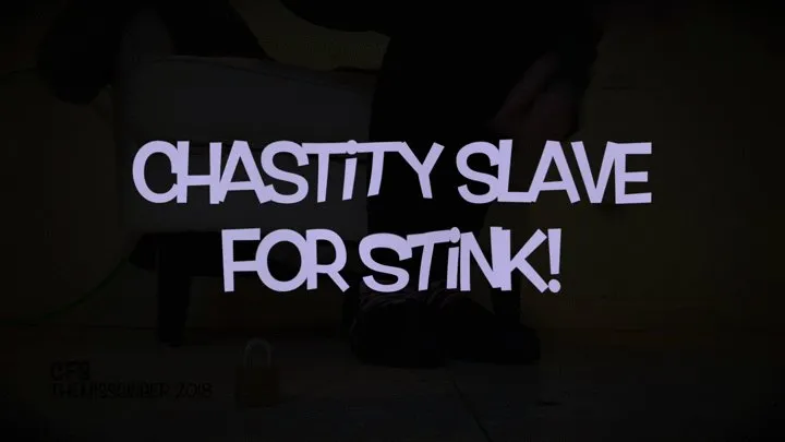 Chastity For Stink!