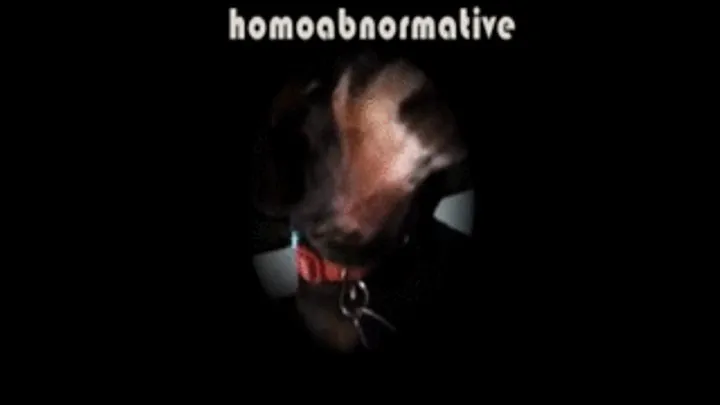 Homoabnormative