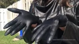 Leather gloves in the sun