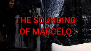 THE SOUNDING OF MARCELO